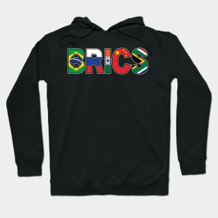 BRICS Hoodie